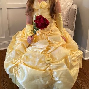 Pottery Barn x Disney Belle Dress